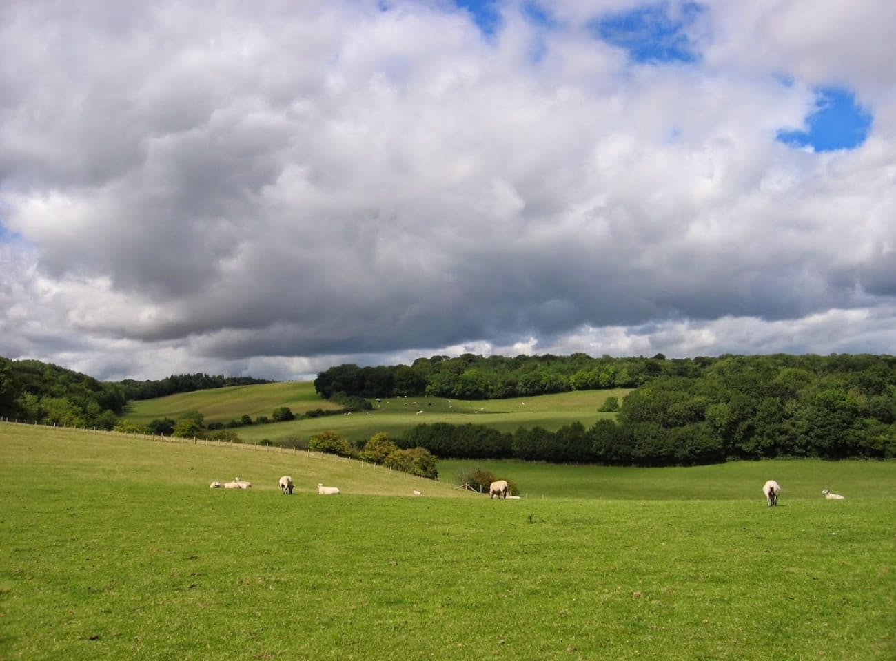 Dunn Street Farm Campsite • Small Campsites