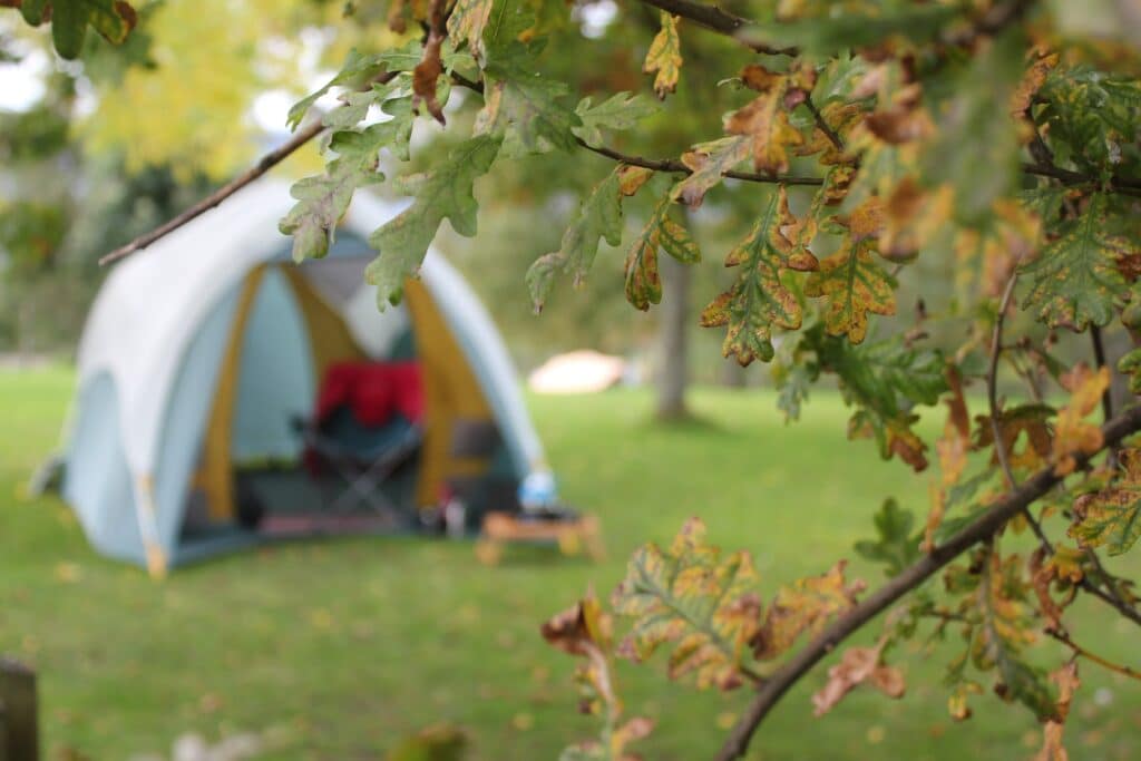Camping at Park
