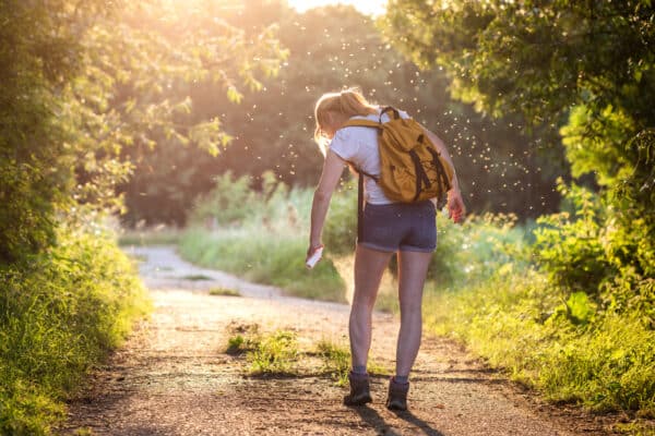 How to get rid of midges guide