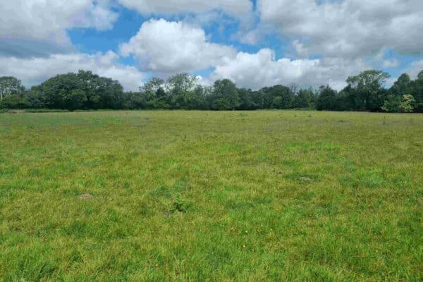 Little Bowland Farm