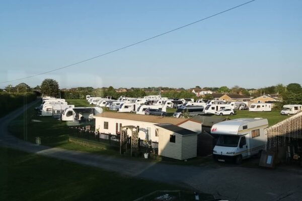 Pear tree campsite