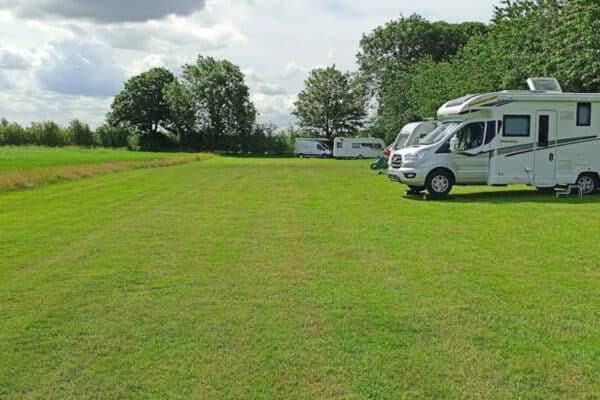 sealwood estate pitch